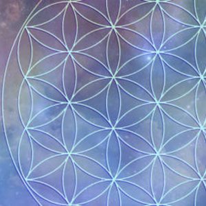 Image de La puissance de la fleur de vie